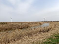 -启东黄金海滩景区