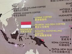 -巴厘岛黄金金兔咖啡工厂