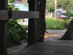 -大连植物园