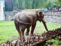 -西安秦岭野生动物园