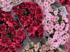 -三圣花乡旅游区