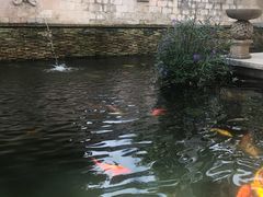 -三亚亚龙湾五号度假别墅酒店