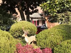-南京钟山宾馆(江苏省会议中心)