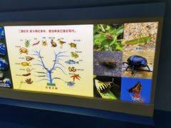 -上海昆虫博物馆