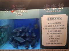 -淘米捞·米汤脆鲩鱼火锅(福田皇岗店)
