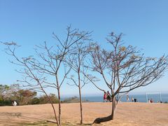 -漳州滨海火山岛自然生态风景区