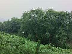 -滨河世纪广场公园