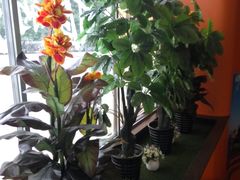 -肯德基(顺义光明大街店)