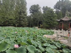 -晋祠公园