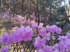 -红螺寺