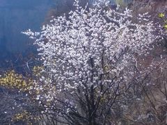 -太行锡崖沟旅游度假区