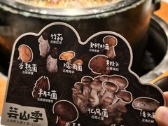 -芸山季·云南山珍菌火锅(南翔印象城MEGA店)