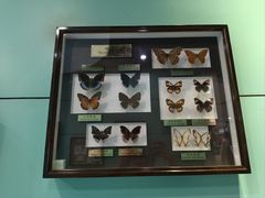 -上海昆虫博物馆