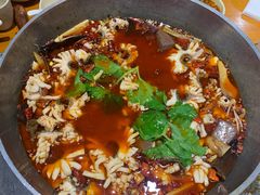 -重庆乌鱼庄·龙滋鲜(青羊大道店)