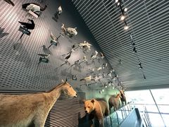 -中国湿地博物馆