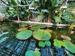 -国家植物园南园