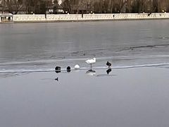 -后海公园