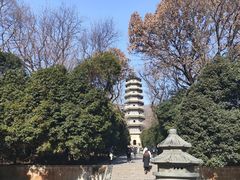 -灵谷景区