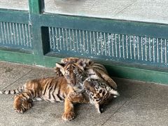 -秦皇岛野生动物园