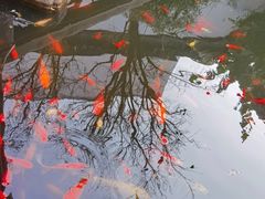 -苏州文旅花间堂·探花府酒店