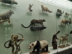 -国家自然博物馆