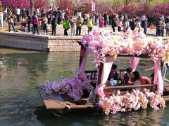 -元大都城垣遗址公园