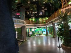 -黄海国家森林公园