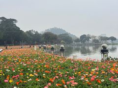 -顺峰山公园