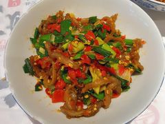 鸭掌筋-壹盏灯(惠农店)