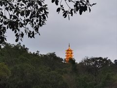 -大雁山风景区