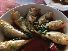 -品雅轩农家乐