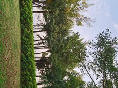 -深圳湾公园(南山区)
