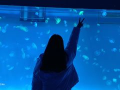 -多彩贵州城极地海洋世界