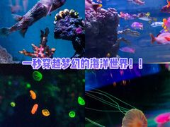 -正佳极地海洋世界