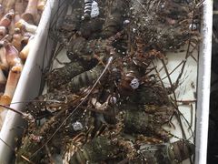 -南沙十九涌渔人码头-南门