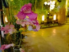 -往来·竹里.宝宝宴.生日宴.团建.宴席(花乡农居店)