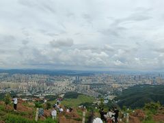 -长虫山生态公园风景林