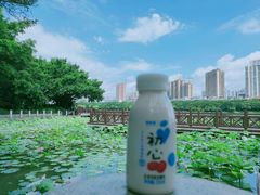 -南宁南湖公园
