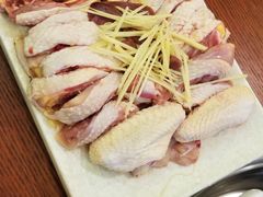 -新招鲜本地鸡窝(平凉路店)