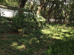 -上海佘山国家森林公园天马山园