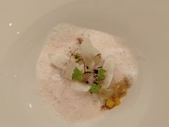 -蝶舍·MAISON PAPILLON