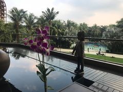 -三亚湾海居铂尔曼度假酒店