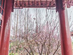 -堤角公园
