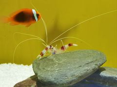 -大连圣亚海洋世界