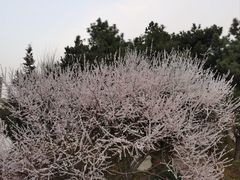 -团结湖公园