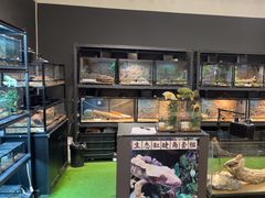 -FAIRYLAND龙族星球主题餐厅(凯丹广场店)