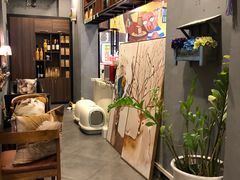 -咖法森林·咖啡  酒吧(天河店)