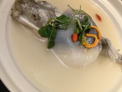 东坡河豚-肆月河豚·新淮扬(金融街店)