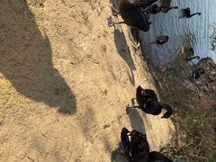 -长兴太湖图影湿地文化园