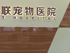 -派联宠物医院·24h·CT·异宠